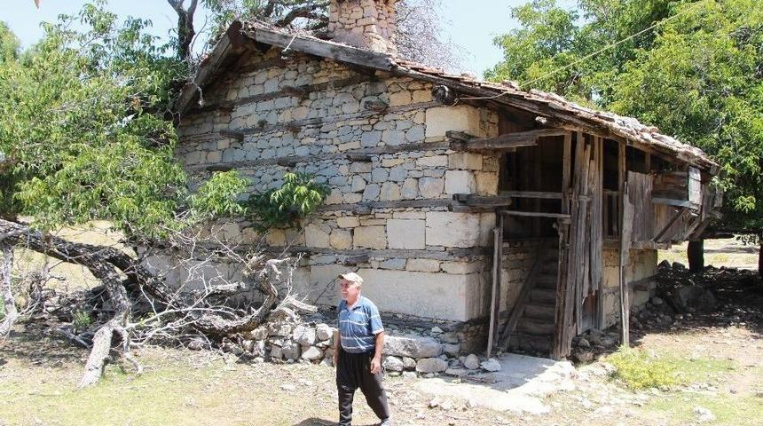 Ağa&ccedil;tan Zerk Kilidi Zamana Meydan Okuyor