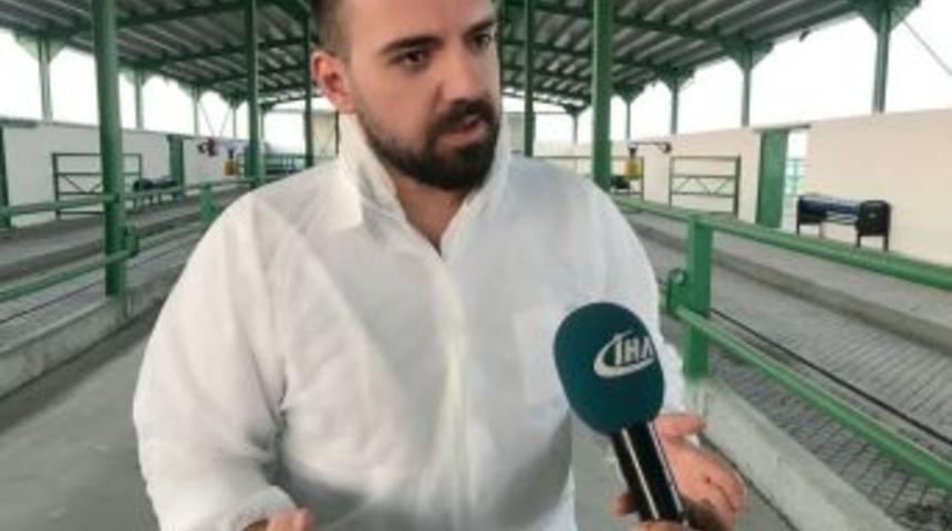 Hayvan Sahiplerine Şarbon Uyarısı