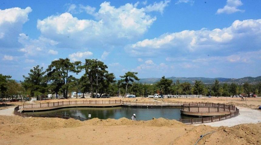 Ortak&ouml;y, Biyolojik G&ouml;letine Kavuşuyor