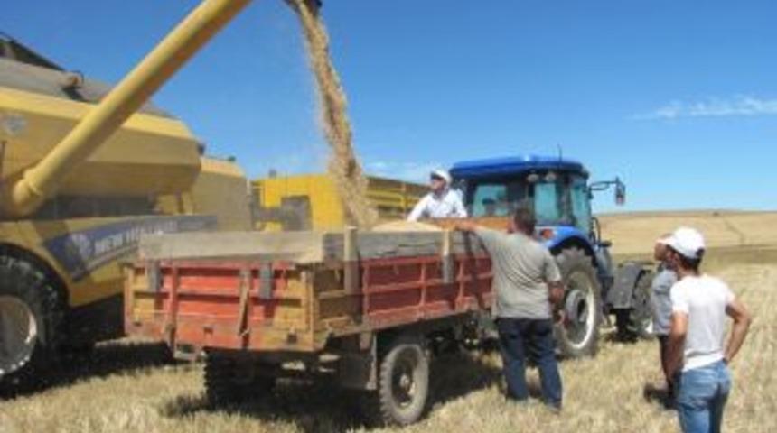 Bilin&ccedil;siz Bi&ccedil;erd&ouml;ver Kullanımı B&uuml;y&uuml;k Dane Kayıplarına Neden Oluyor