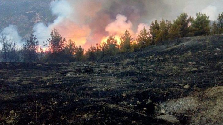 Sivas’ta Orman Yangını G2