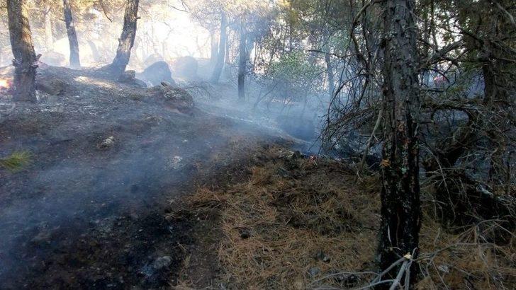 Sivas’ta Orman Yangını G4