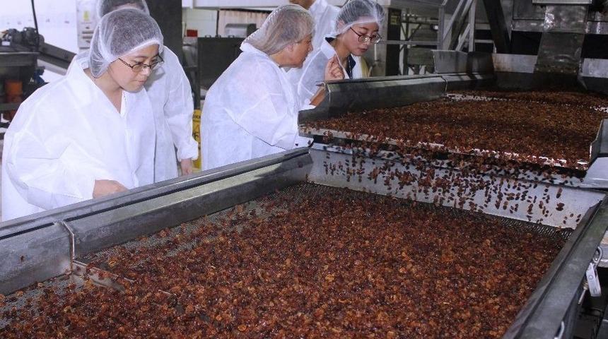 Abd&rsquo;den Vazge&ccedil;en &Ccedil;inliler T&uuml;rk &Uuml;z&uuml;m&uuml; İ&ccedil;in Alaşehir&rsquo;de