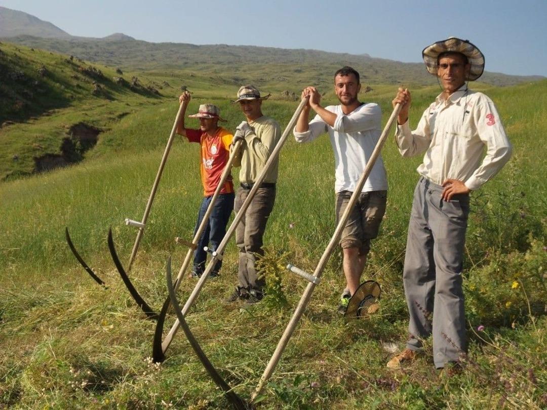 Doğubayazıtlılardan Tırpanla Zayıflama Tavsiyesi