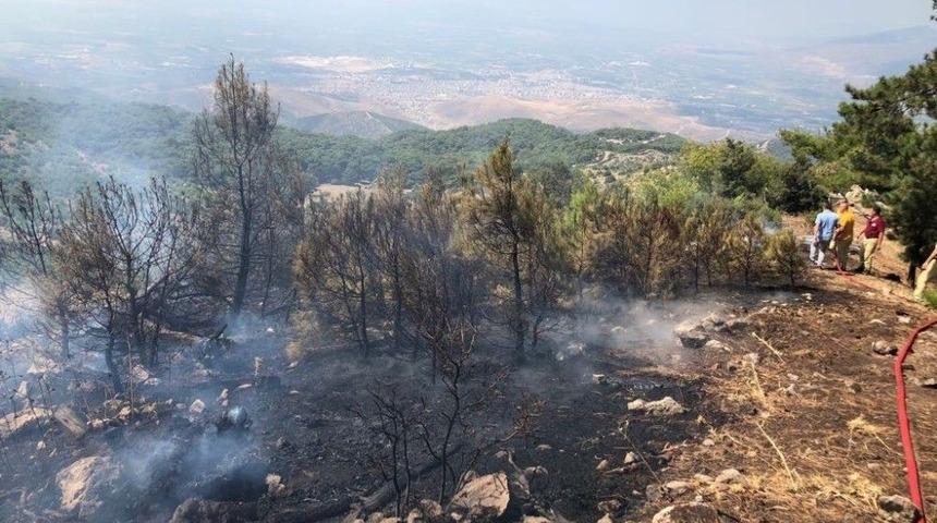 Piknik Yaparken Ormanı Yaktılar