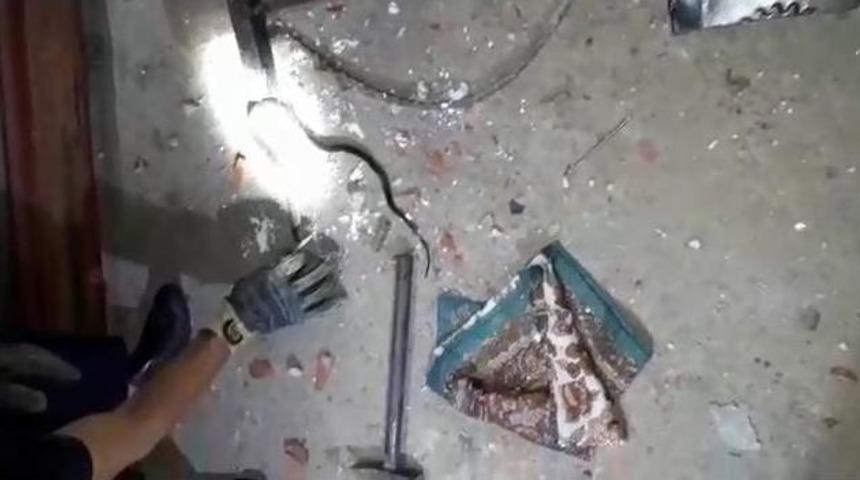 İtfaiyeden Yılan Yakalama Operasyonu