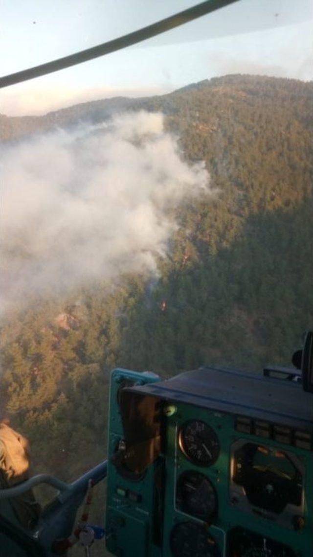 Hatay’da Orman Yangını