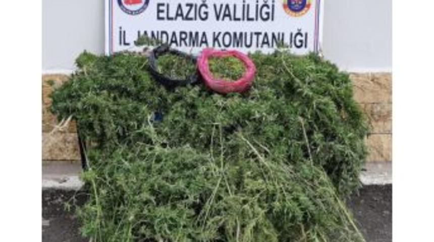 Elazığ&rsquo;da Uyuşturucu Operasyonu: 5 G&ouml;zaltı