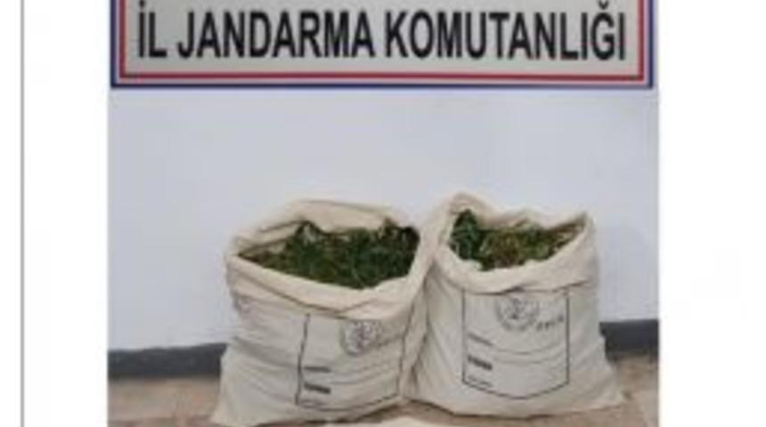 Denizli&rsquo;de Jandarmadan Esrar Operasyonu