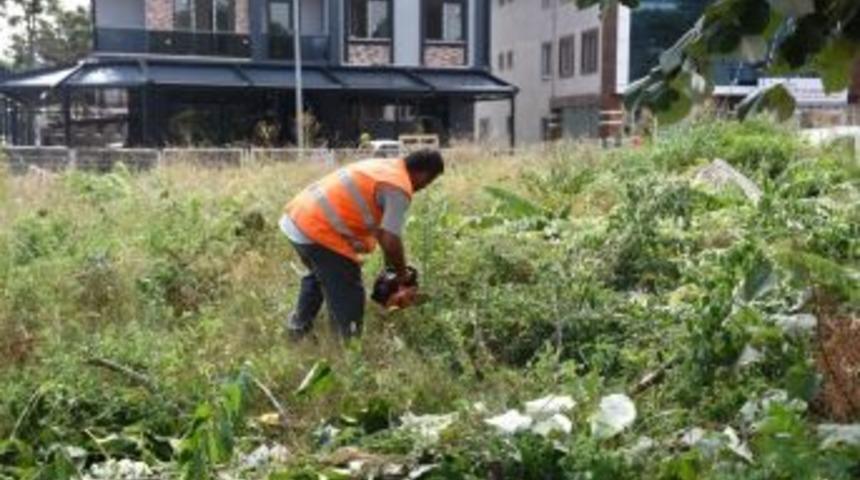 D&uuml;zce&rsquo;de Park Ve Bah&ccedil;eler D&uuml;zenleniyor