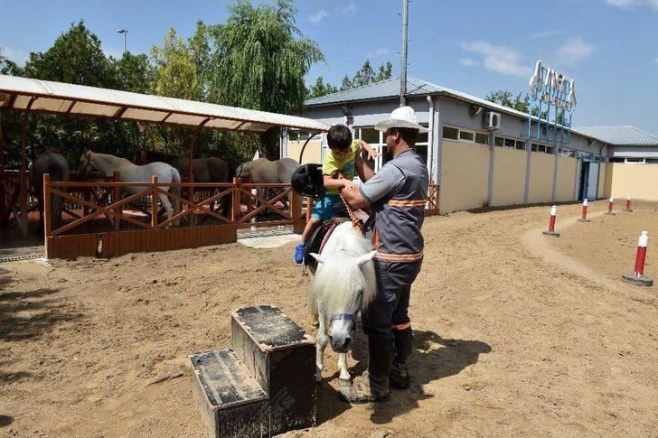 Altınpark’ta Midilli Keyfi G1