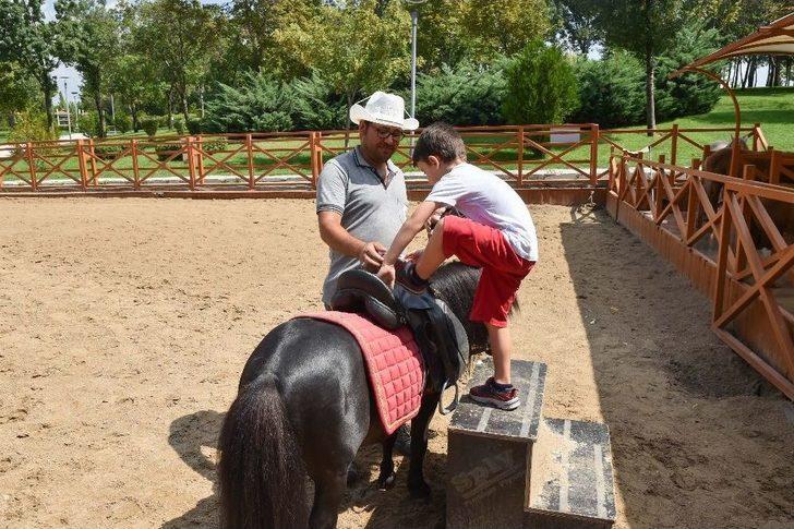 Altınpark’ta Midilli Keyfi G2