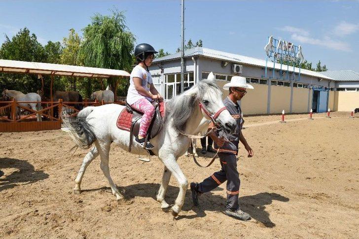 Altınpark’ta Midilli Keyfi G3