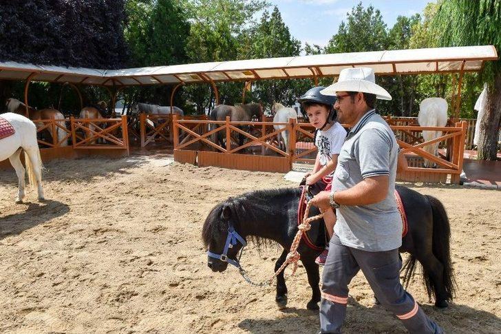 Altınpark’ta Midilli Keyfi G4