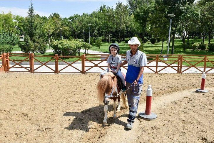 Altınpark’ta Midilli Keyfi G5