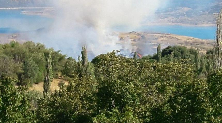 Anız Yangınında Ağa&ccedil;lar Zarar G&ouml;rd&uuml;