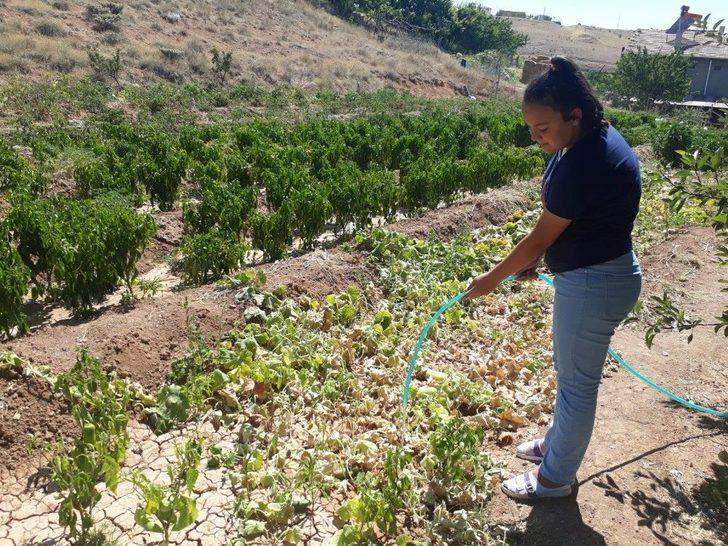 (özel) Sarımsaklı’da Balık Ölümleri G5