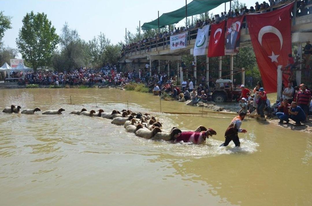 Denizli&rsquo;de Asırlık &ldquo;sudan Koyun Atlatma Yarışması&rdquo; Başladı