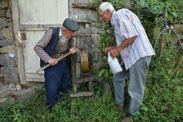 107’lik ’çınar’