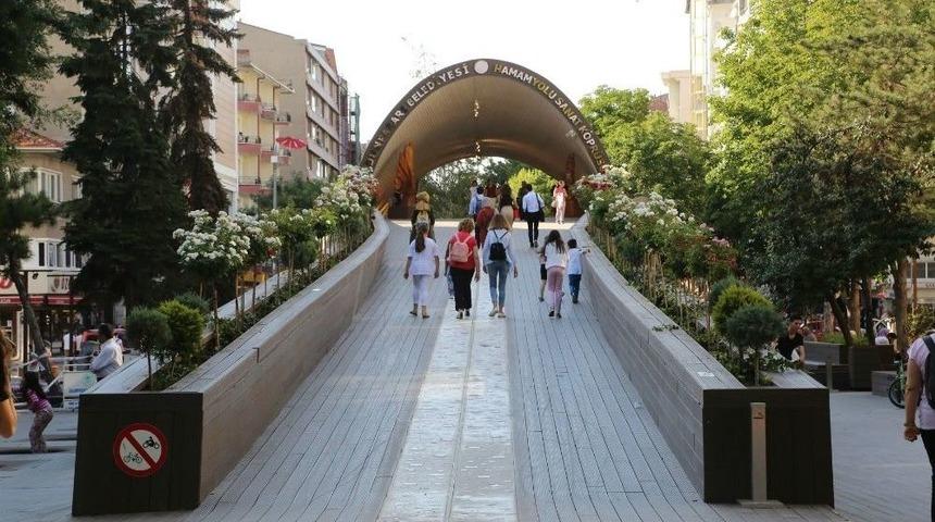 Sanat K&ouml;pr&uuml;s&uuml; Vatandaşların Akınına Uğruyor