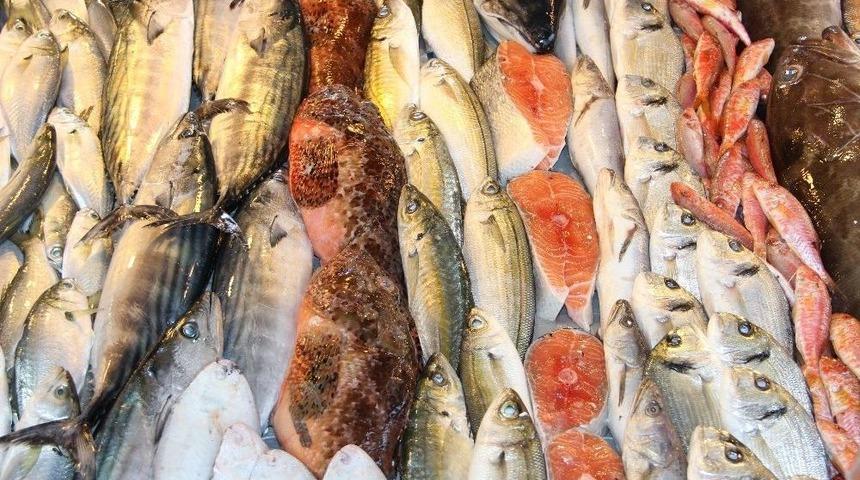 Su Ürünleri Ve Hayvansal Mamuller Sektörü Afrika’ya Yöneldi