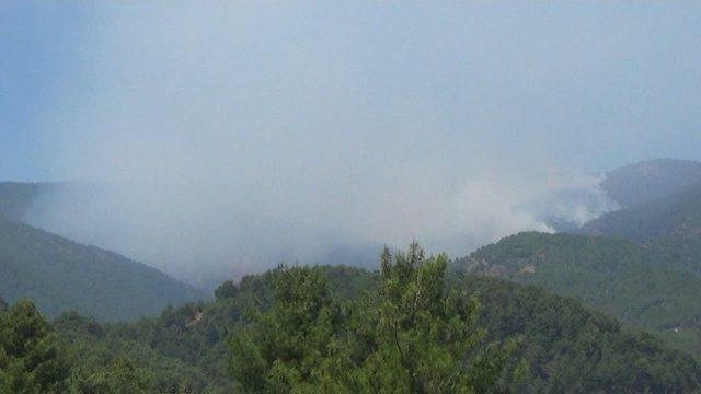 Hatay’daki Orman Yangını Kontrol Altına Alındı