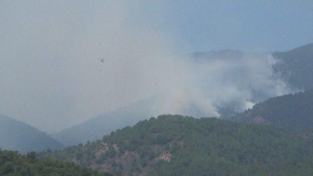 Hatay’daki Orman Yangını Kontrol Altına Alındı