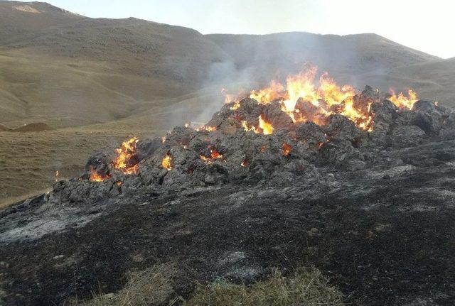 Çatak’ta 700 Bağ Ot Kül Oldu