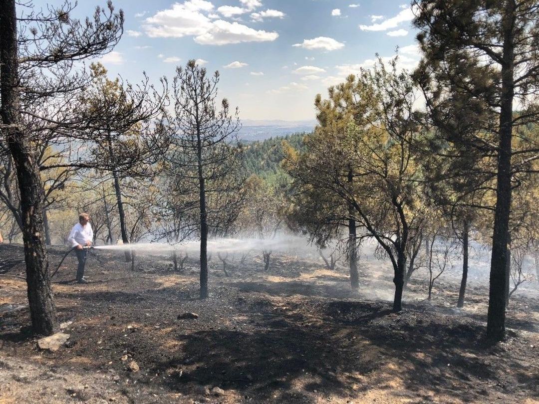 Vatandaşlardan Orman Yangınına Canla Başla M&uuml;dahale