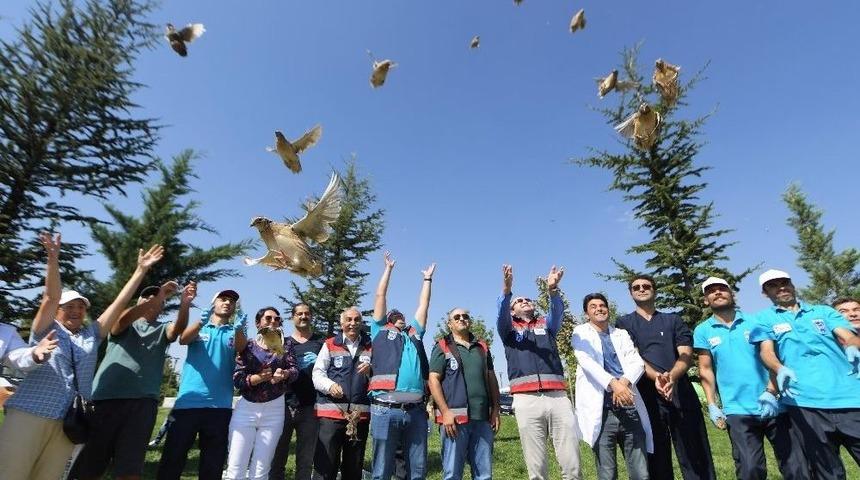 Doğaya Geri Dönüş