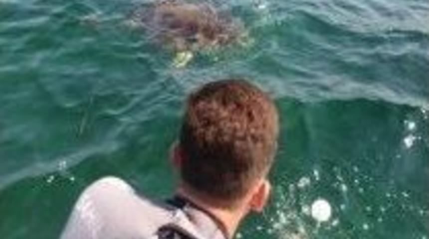 Caretta Carettayı Sahil Güvenlik Kurtardı