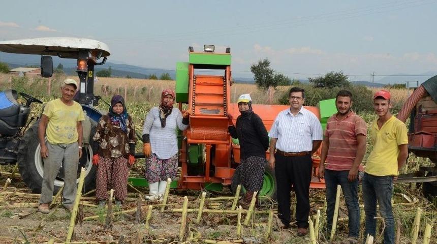 (&ouml;zel) Kırkağa&ccedil; Ay &Ccedil;ekirdeği, &Ccedil;in Ay &Ccedil;ekirdeğine Karşı