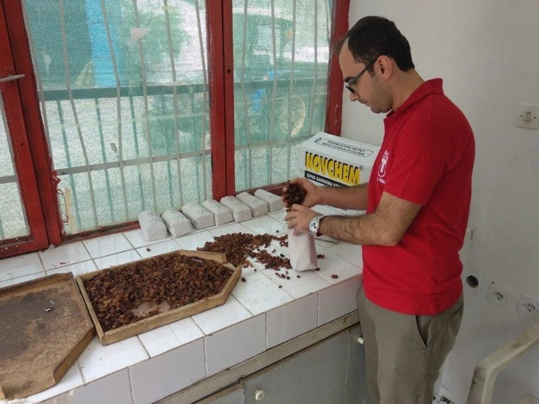 Kuru &Uuml;z&uuml;mde Verim D&uuml;ş&uuml;k Olsa Da Fiyatlar &Ccedil;ift&ccedil;inin Y&uuml;z&uuml;n&uuml; G&uuml;ld&uuml;r&uuml;yor