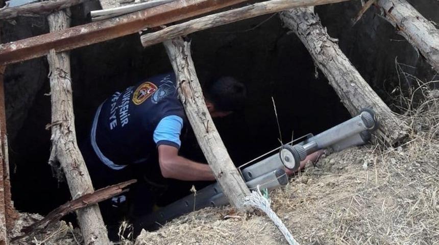 Başkale’de Lağım Çukuruna Düşen Oğlak Kurtarıldı