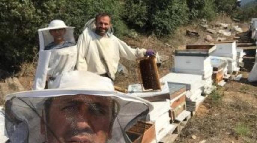 Emet’te Bal Üretimi Düştü
