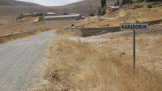 Sivas’ta Şarbondan Ölümler Sürüyor