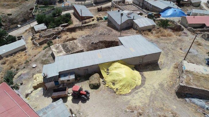 Sivas’ta Şarbondan Ölümler Sürüyor G5