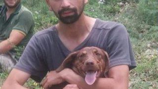 23 Yaşındaki Genç Ağaç Altında Kalarak Hayatını Kaybetti