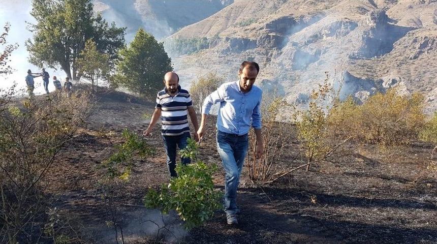 Gümüşhane’deki Örtü Yangını Kontrol Altına Alındı