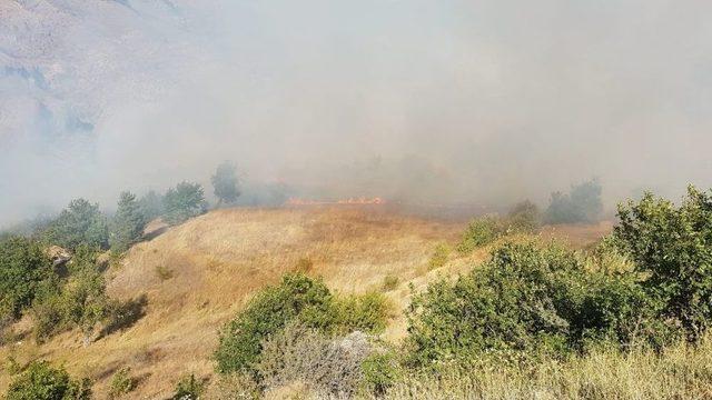 Gümüşhane’deki Örtü Yangını Kontrol Altına Alındı