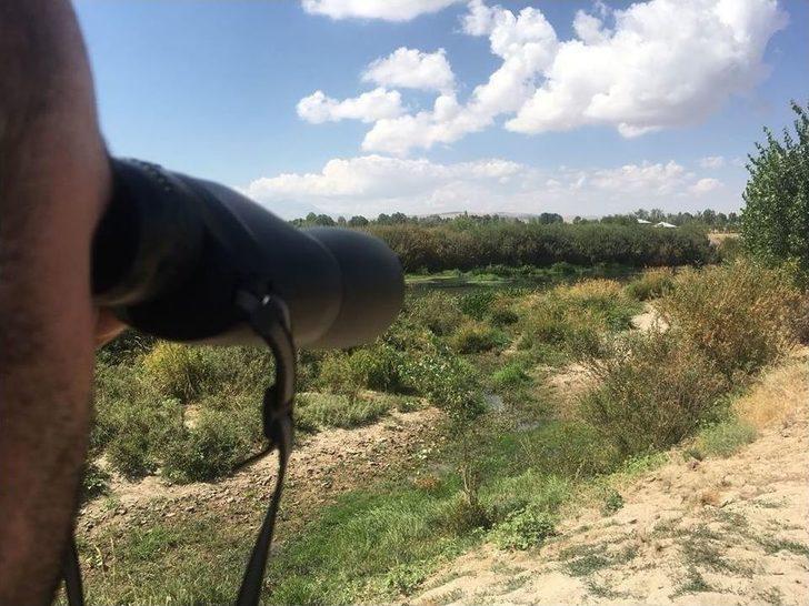 Dkmp Ekiplerinin Hafta Sonu Kaçak Avcı Mesaisi G3