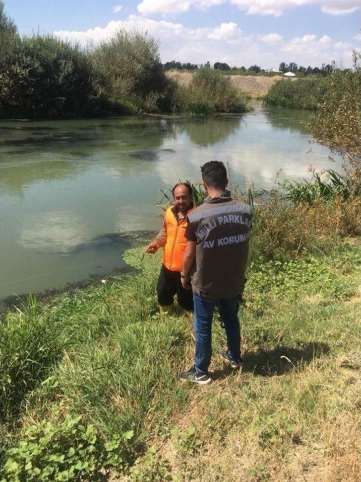 Dkmp Ekiplerinin Hafta Sonu Kaçak Avcı Mesaisi G5