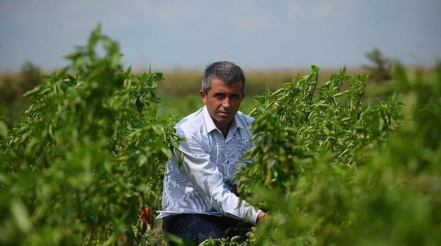 G&uuml;bre Ve İl&acirc;ca Y&uuml;zde Y&uuml;z Zam Geldi, &Ccedil;ift&ccedil;i İsyan Etti