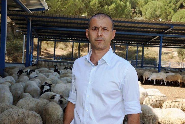 Kamunun Tek Sakız Koyunu Çiftliğinde İşler Yolunda Gidiyor G3