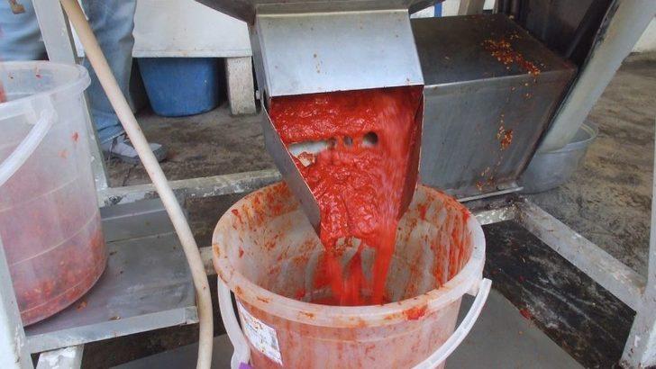 Kendi Ürettiği Makine İle Günde 5 Ton Domates Ve Biberi Salçaya Dönüştürebiliyor G4