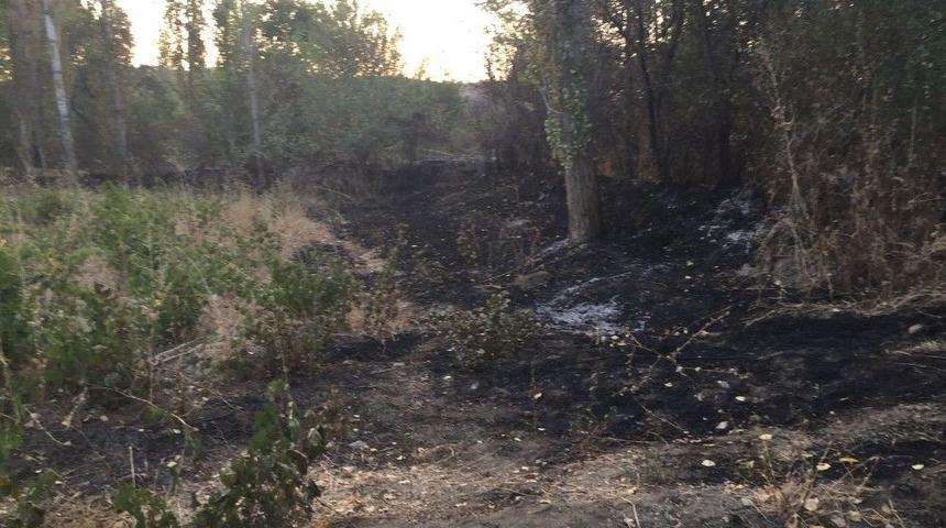 Bah&ccedil;esindeki Otları Yakmak İsterken Kendini Yaktı