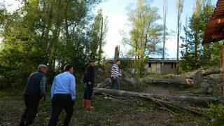 Posof’ta Fırtına Ağaçları Devirdi