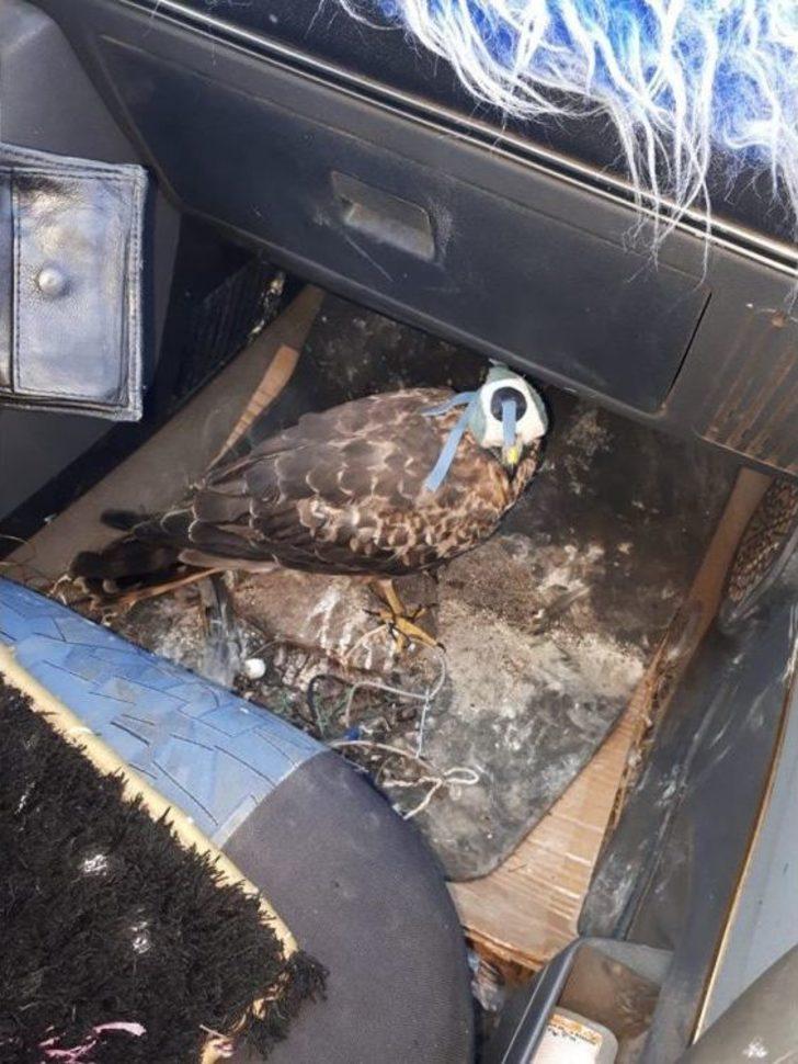 Kars’ta Canlı Mühre İle Avlanan İki Kişiye 28 Bin Lira Ceza G1