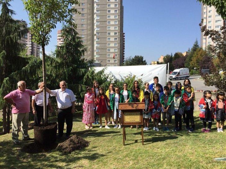 Japonya Prensesi Mikasa Ankara’da Ağaç Dikti G3