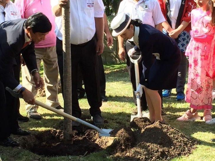 Japonya Prensesi Mikasa Ankara’da Ağaç Dikti G4